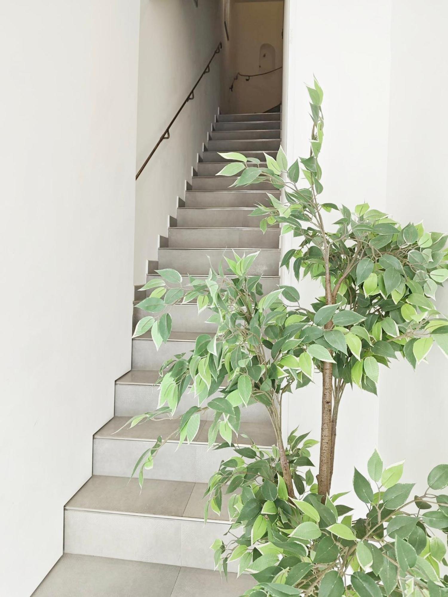Cassis Loc - Chambre Meublee Ngoại thất bức ảnh